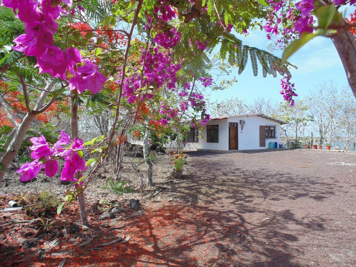 Casa Verde Vacation Garden Home San Cristóbal Dış mekan fotoğraf